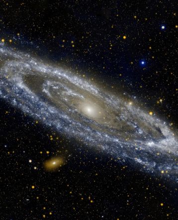 best indian astrologer in canberra