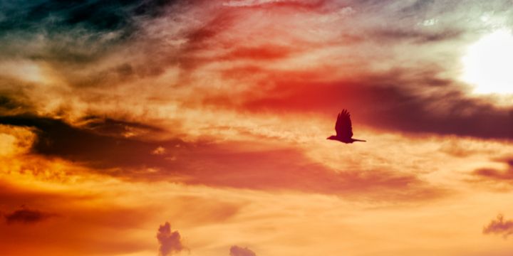 Black Magic Expert in Brisbane