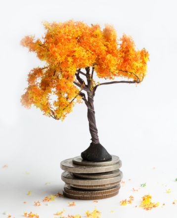 fengshui near me in liverpool